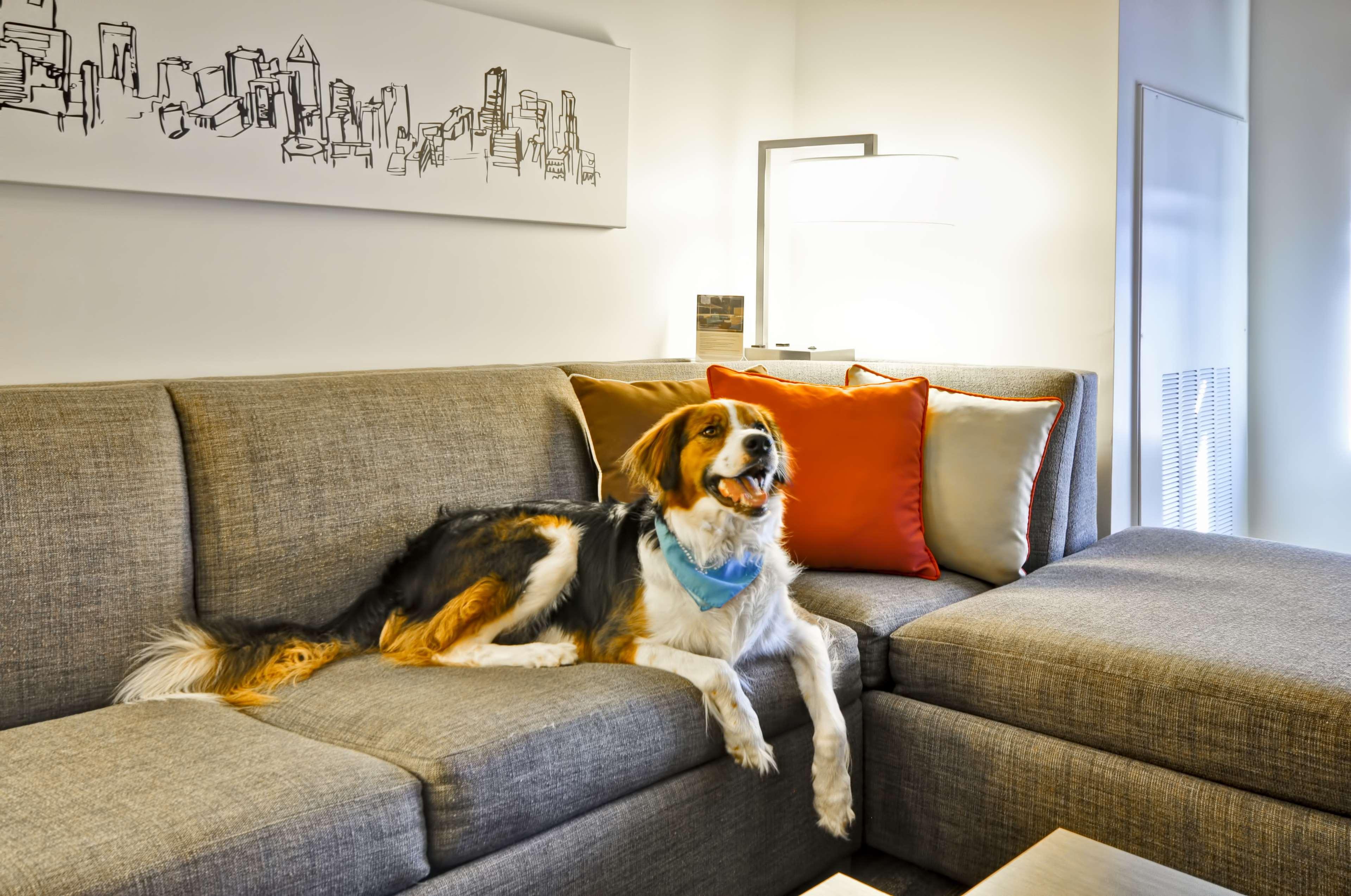 Hyatt House Atlanta Cobb Galleria Smyrna Eksteriør billede