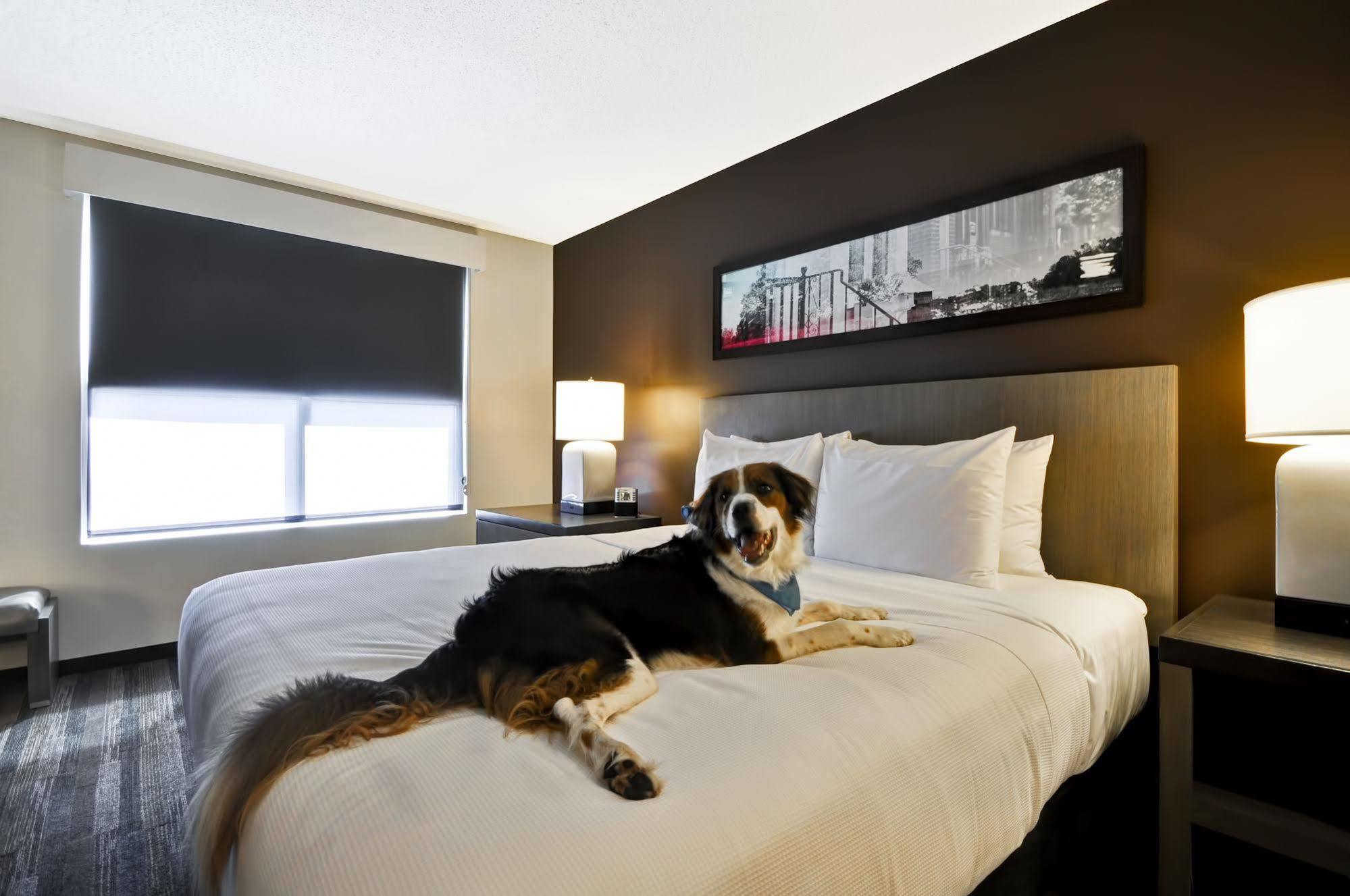 Hyatt House Atlanta Cobb Galleria Smyrna Eksteriør billede